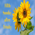 Sunday 20th July