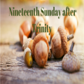 Sunday 26th October